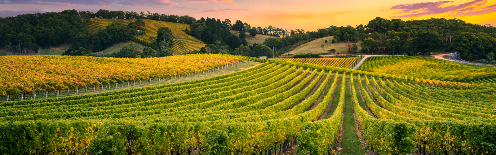 Header background image