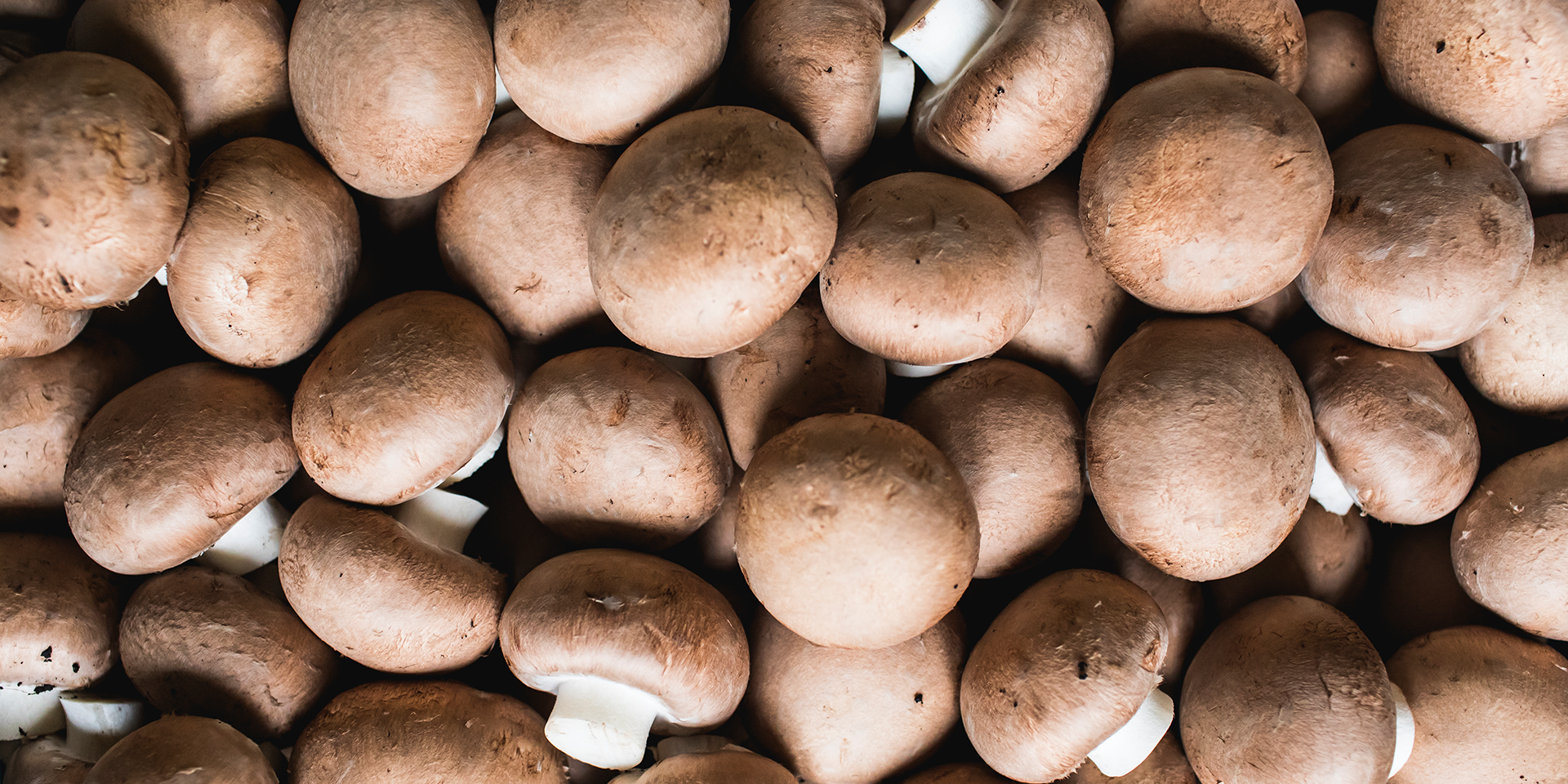 Header background image